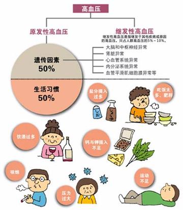 高血压,常见健康挑战的理解与应对