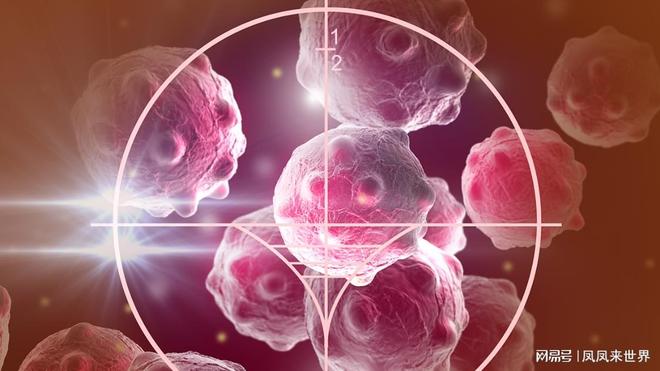 癌症详解,知识、挑战与希望