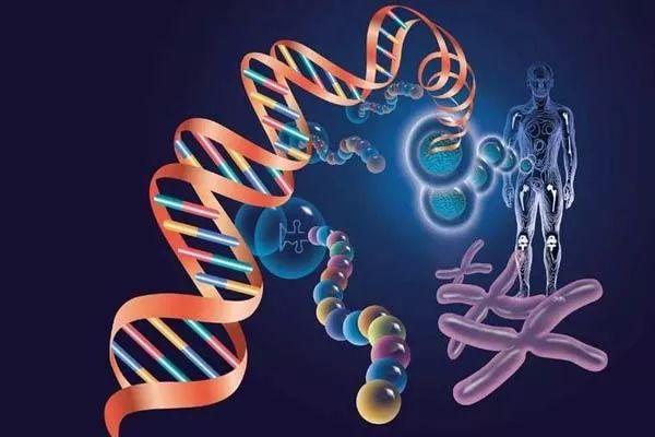 基因检测,探索基因奥秘,迎接个性化时代
