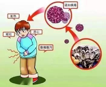 流行病,我的感悟与体会心得