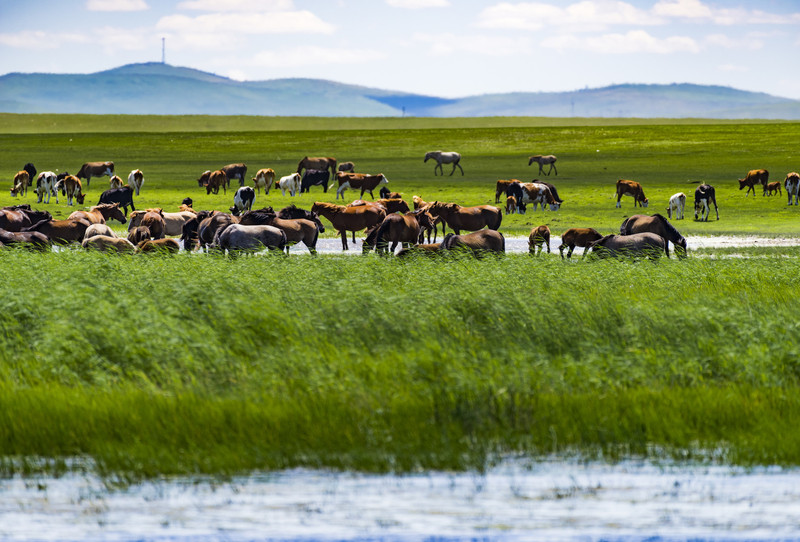 内蒙古,辽阔蓝天下的大美风光
