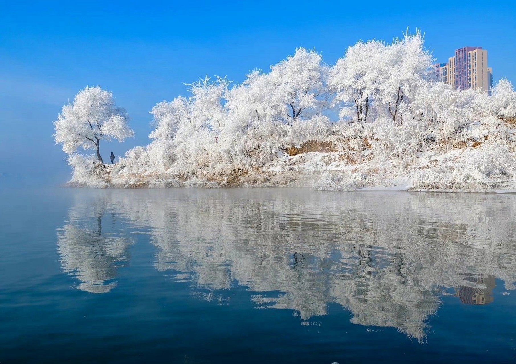 吉林,东北亚璀璨的绿色瑰宝